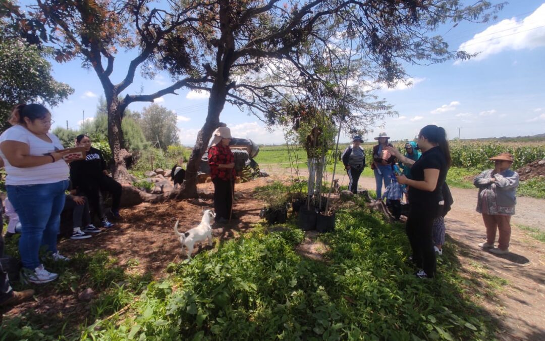Gobierno de Salamanca y ciudadanos coadyuvan en actividades de reforestación