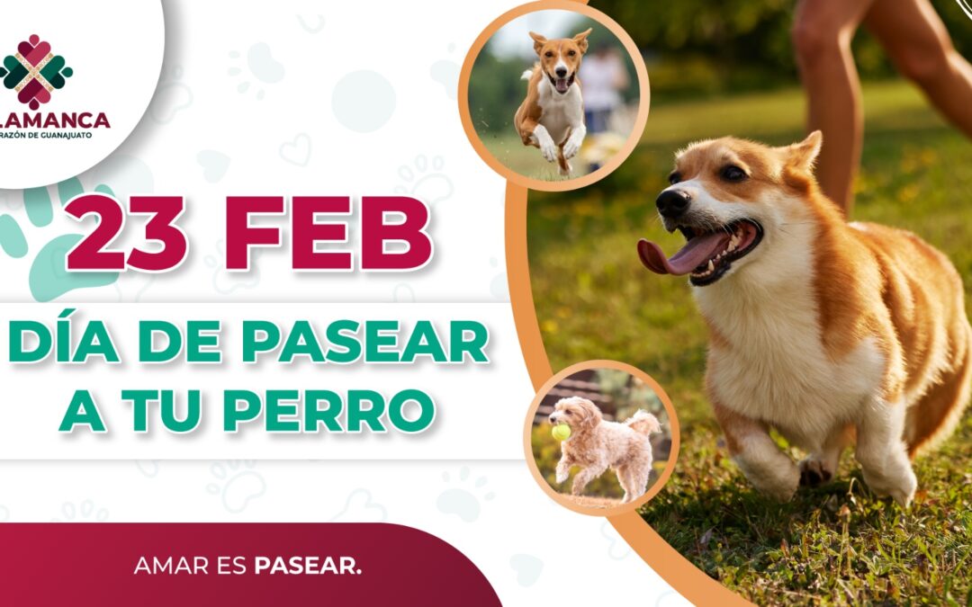 Prepara Gobierno de Salamanca caminata canina en conmemoración al “Día de Pasear A Tu Perro”